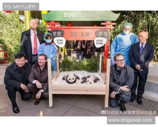 姚明与熊猫的奇妙故事：从篮球场到大自然的友谊之旅