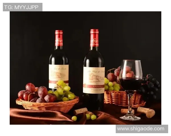 姚明珍藏干红酒品鉴之旅探索中国葡萄酒的独特魅力与文化传承