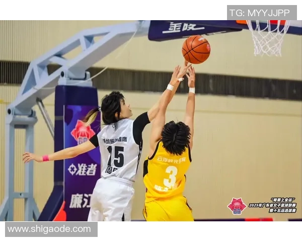 亮亮明星篮球:点燃青春激情,追逐梦想的篮球之旅